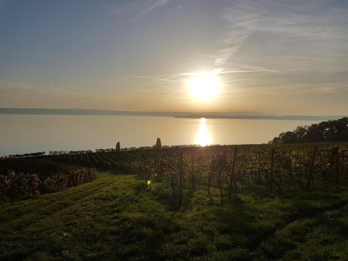 Schoene Stadtwohnung In Friedrichshafen Am Bodensee Екстериор снимка